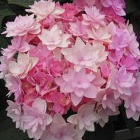 8dd9200e-cea5-11f0-891e-246e9611e8f6-1