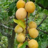 3479f2d2-55b1-11f0-891a-246e9611e8f6-1