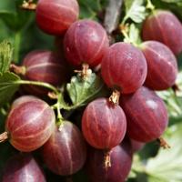 a9600571-0237-11ef-890b-246e9611e8f5-1