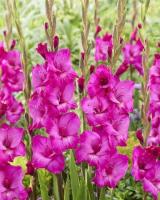 7da6128f-2dab-11e8-a7ea-005056c00008-1