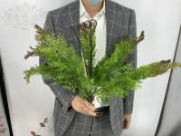 f029e633-5a59-11f0-891b-246e9611e8f7-1