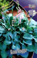 586e05c5-5940-11e0-b405-00500454e615-1