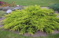 2f7c9e56-f33b-11e5-9ba7-001e673ebdea-1