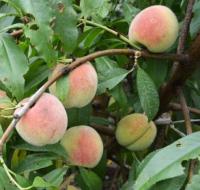 cb63534d-bee6-11f0-891d-246e9611e8f7-1