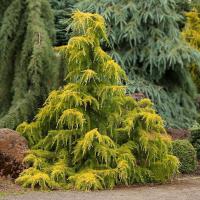 29d60aa8-d1b9-11f0-891e-246e9611e8f6-1