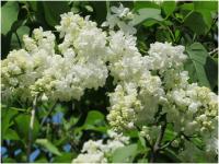 44c9fbe6-2f8f-11ef-890e-246e9611e8f7-1