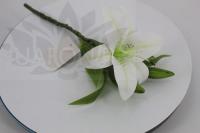 14a793b8-f2b0-11ef-8915-246e9611e8f5-1