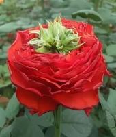 7016d506-50db-11f0-891a-246e9611e8f6-1