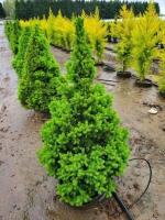 d94d81a0-d035-11f0-891e-246e9611e8f6-1