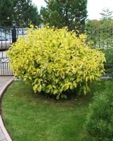 e5d27d92-0370-11ee-88b6-001e673ebdea-1