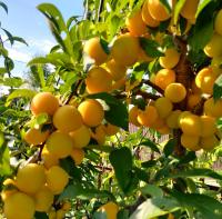 675d0319-beda-11f0-891d-246e9611e8f7-1