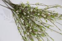 7tuko4hmycpg96gjtp148eg3dyj19mf5