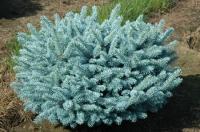 842ae07f-70ab-11ed-be6f-001e673ebdea-1