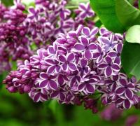 9f5573fc-2c3b-11f1-8926-246e9611e8f6-1