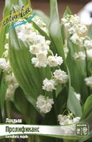 1bf7a2a7-67a1-11ed-bd4c-001e673ebdea-1