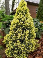 6e1467a5-c128-11ef-8915-246e9611e8f5-1