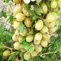 c5664ac4-c097-11ec-9a28-005056c00008-1