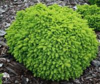 79d0dc68-ecde-11ee-890b-246e9611e8f5-1