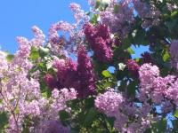 d78eab8c-29ab-11f1-8926-246e9611e8f6-1