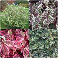 5c71710b-2c36-11f1-8926-246e9611e8f6-1