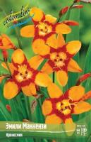 75a6ec1f-88a5-11e2-8ea8-00500454e615-1