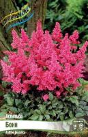 016beb76-3e12-11df-884b-0019dbe91ea3-1