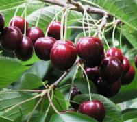 c7f92137-bebf-11f0-891d-246e9611e8f7-1