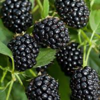 51787614-f452-11f0-8924-246e9611e8f6-1