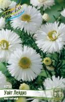 551d904d-603f-11e1-960d-00500454e615-1