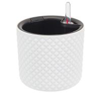 e2084970-fc9c-11ee-890b-246e9611e8f5-1