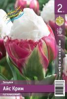 dafee8ee-f185-11e1-8311-00500454e615-1