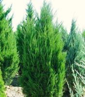 dfb44b94-3a55-11e8-a7ea-005056c00008-1