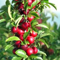 b88dc15f-bed3-11f0-891d-246e9611e8f7-1