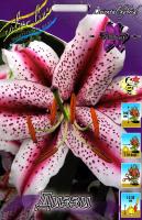 3516fe6e-7163-11ed-be6f-001e673ebdea-1