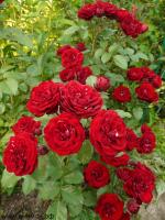 b30d484c-2820-11e8-9db1-005056c00008-1