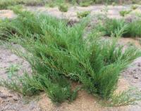 0c0bc8b6-d42b-11f0-891e-246e9611e8f6-1