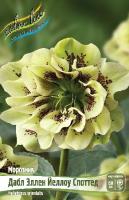 22d2f780-6e72-11ec-8bcd-005056c00008-1