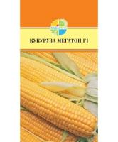 92d444ca-5aec-11ee-ae0a-001e673ebdea-1