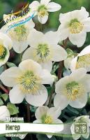 21a7e400-4c9c-11e0-99a9-00500454e615-1