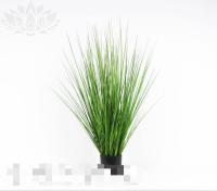 a108f948-5a4b-11f0-891b-246e9611e8f7-1