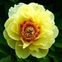 93ad9e4b-2cd2-11df-8833-0019dbe91ea3-1