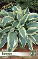 c685f800-7be8-11ea-b7ee-005056c00008-1