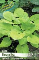 6d82e0b4-2e87-11e8-a7ea-005056c00008-1