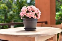 b211d9f8-565a-11f0-891a-246e9611e8f6-1