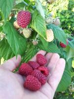 e9571817-a9b3-11eb-93b3-005056c00008-1