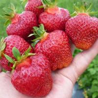 0064ae4d-2e06-11ef-890e-246e9611e8f7-1