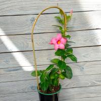 85fcdb9c-bfa8-11eb-8e2c-005056c00008-1