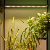 bc2d9df3-81fb-11ee-ae0a-001e673ebdea-1