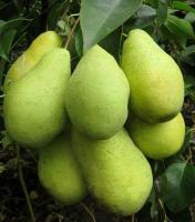 28d61ea0-29c2-11f0-8918-246e9611e8f6-1