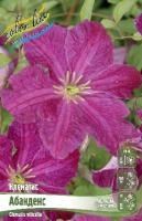 efb0cf0a-6f06-11ec-8bcd-005056c00008-1